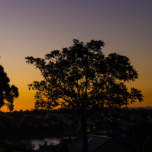 九宫格照片卡点