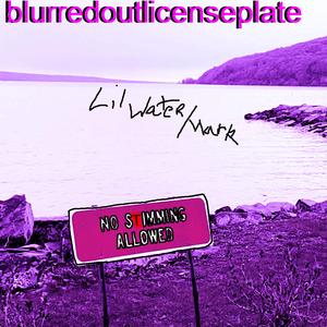 Blurredoutlicenseplate