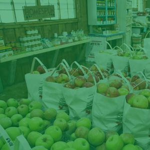 温和专卖店梦想