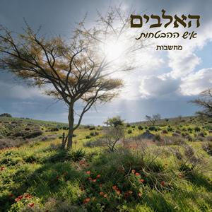 איש ההבטחות... מחשבות