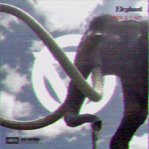 Elephant(Kev!s REMVS)