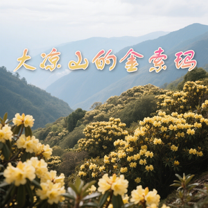 大凉山的金索玛(快乐阳光)