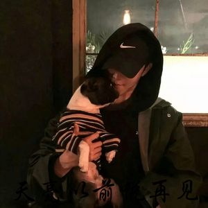 最美的情书(热搜最火版)