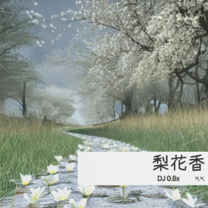 梨花香 (DJ 0.8x)