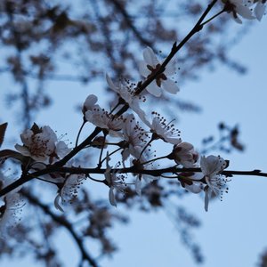 但我还是走进了这大雨（释怀版）