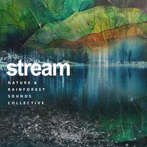Looping Chattering Wetland