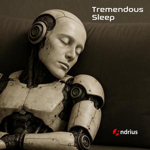 Tremendous Sleep