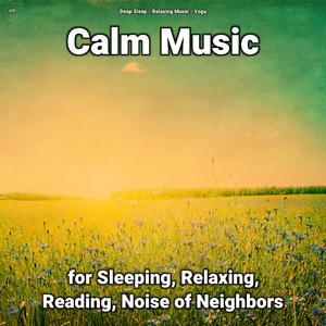 Relaxing Music Pt. 24