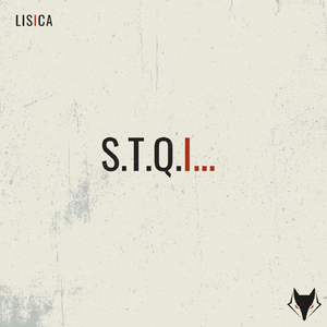 S.T.Q.I