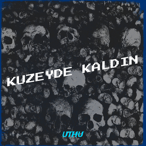 Kuzeyde Kaldın