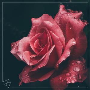 Too Good At Goodbyes