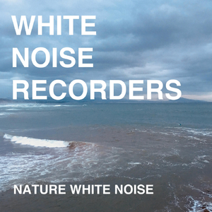 White Noise Wind Sounds