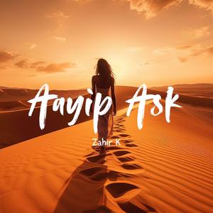 Kayip Ask