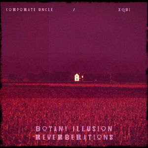 Botany Illusion Reverberations