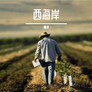 西海岸 (1)