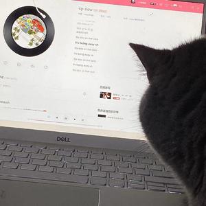 普通又自信^-^（Prod by Rick1y&IOF）