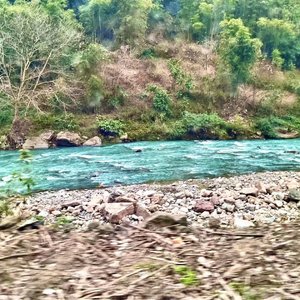 十二月的桂花与没有邮票的信