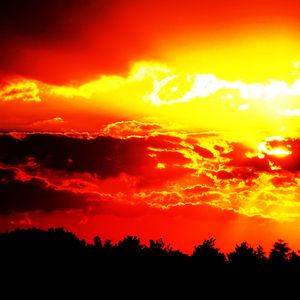 心跳在加速跃动