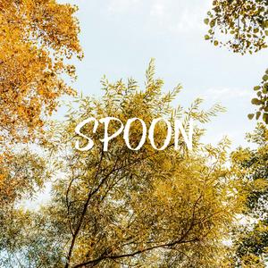 Spoon