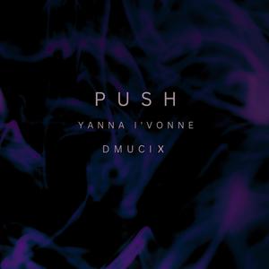 Push (feat. DMUCIX) (Remix)