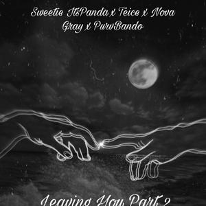 Leaving You, Pt. 2 (feat. Nova Gray, Teice & PurvBando)