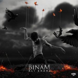 Binam