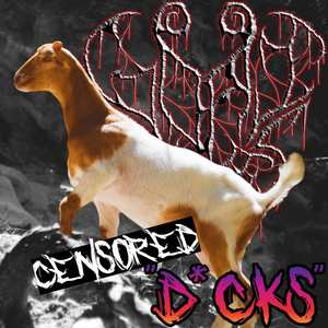 Dicks