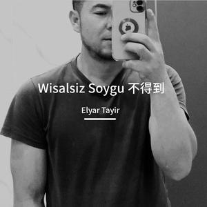 wisalsiz soygu-elyar tayir