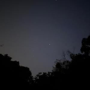 我的秘密是喜欢你