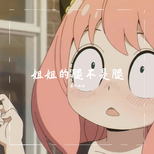 MC星辰-姐姐的腿不是腿