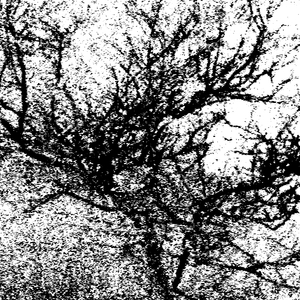 Западное побережье