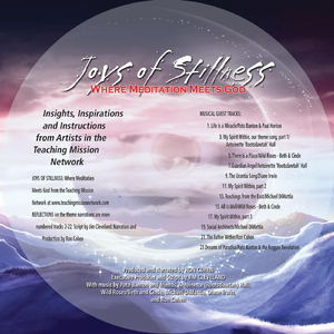 Joys of Stillness, Pt. 2