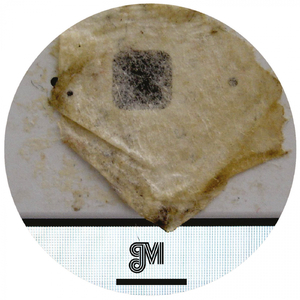 No Show (Live In Whitechapel 2012) (Original Mix)