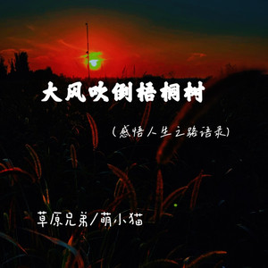 大风吹倒梧桐树 (感悟人生之路语录)