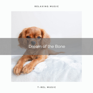 The Gentle Bird Calls