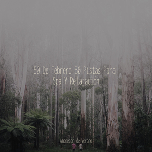 Oasis Melódico Encontrando Tranquilidad