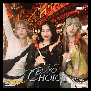 ⁠玩偶游戏 (中文版)