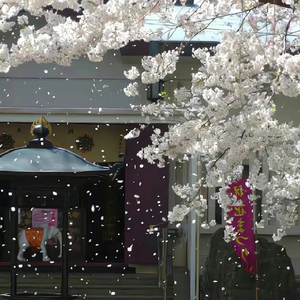 告白前一秒（热播版）