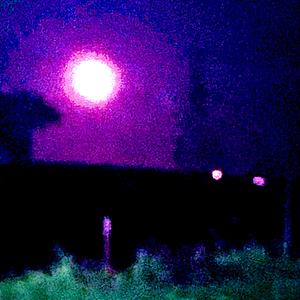 Your Light