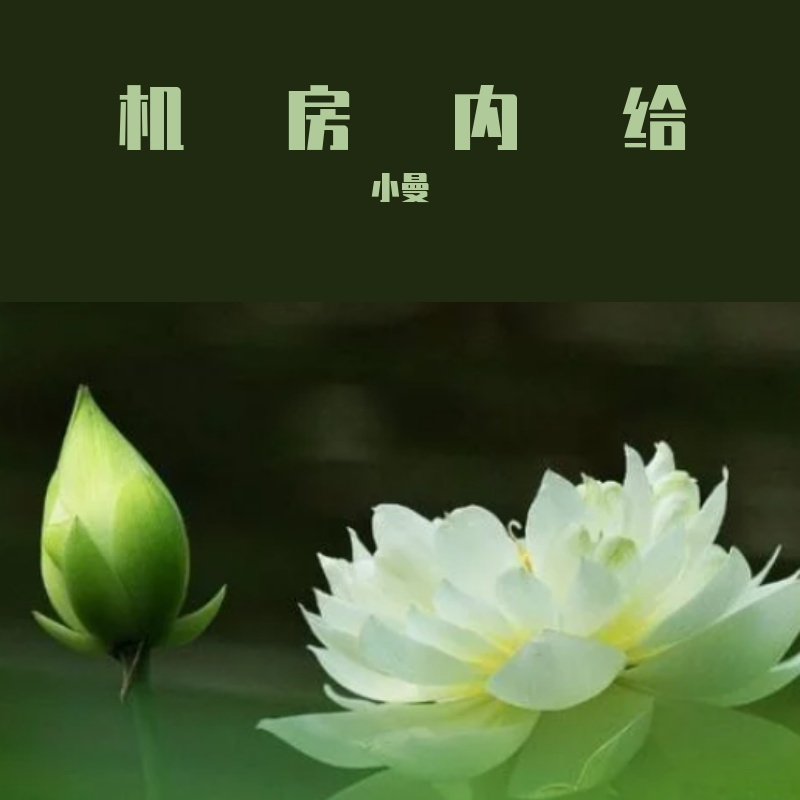 今晚封面