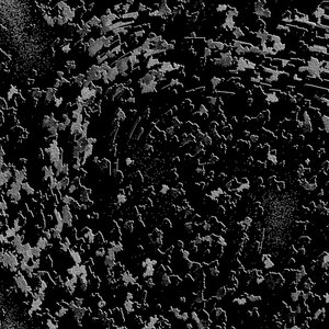 New Evil (Alternate Mix)