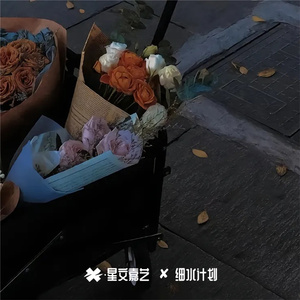 听风无忧 落雪成眠