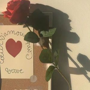 刻在我心底的名字