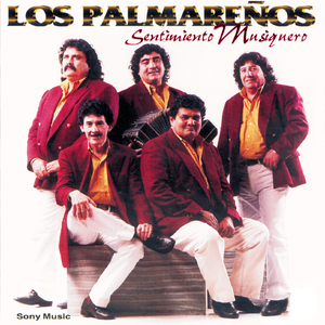 Nunca Dejaré De Quererte