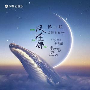 风在哪