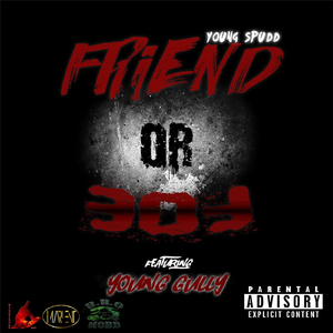 Friend or Foe (feat. Young Gully)