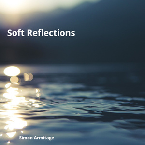 Soft Reflections
