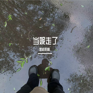 当妮走了（cover：徐真真）