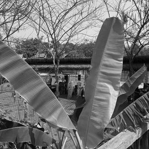 I DO(为了你什么都愿意）