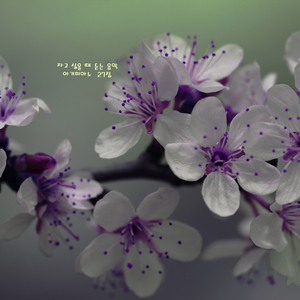 엄마와 아기, 같이 자고 싶을때 듣는 자장가 - 자고 싶을 때 듣는 음악